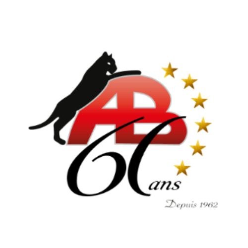 Logo Pavage et aménagement paysager Antonio Borsellino Inc